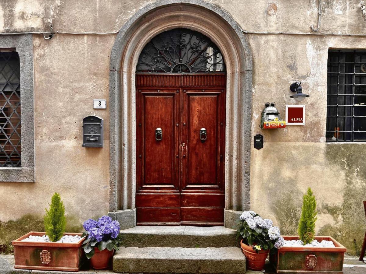 Bed and Breakfast Alma Bnb Santa Fiora Exterior foto